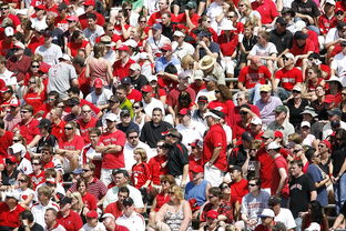 开云中国官网-联赛观察：积分赛积分榜突变，季后赛席位争夺激烈，积分赛阵容查询